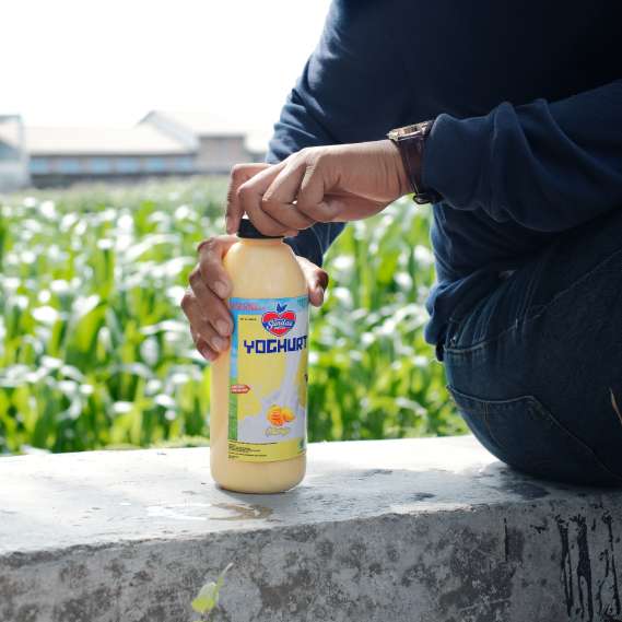 Fresh Sweet Yoghurt Processing